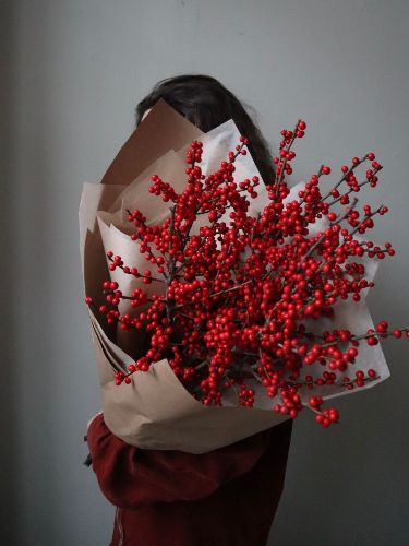 Christmas Collection