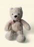 Champagne Plush Teddy