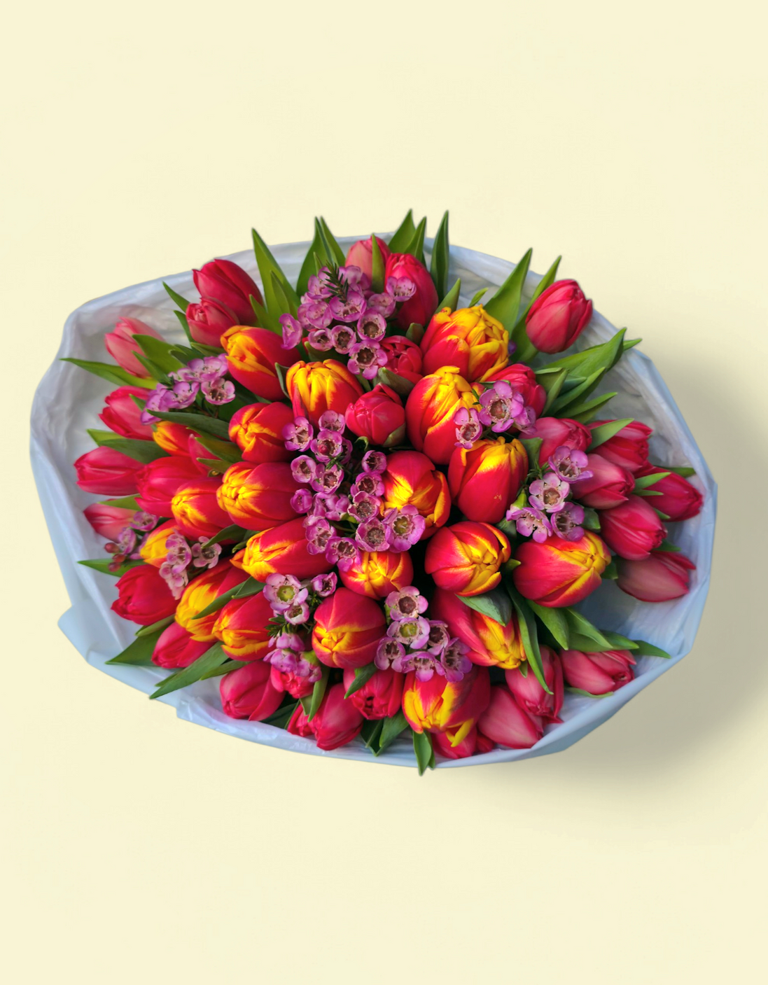 Mixed Red&Sunset Tulips