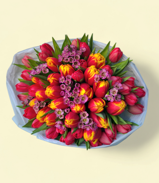 Mixed Red&Sunset Tulips