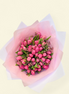 Pink Tulips