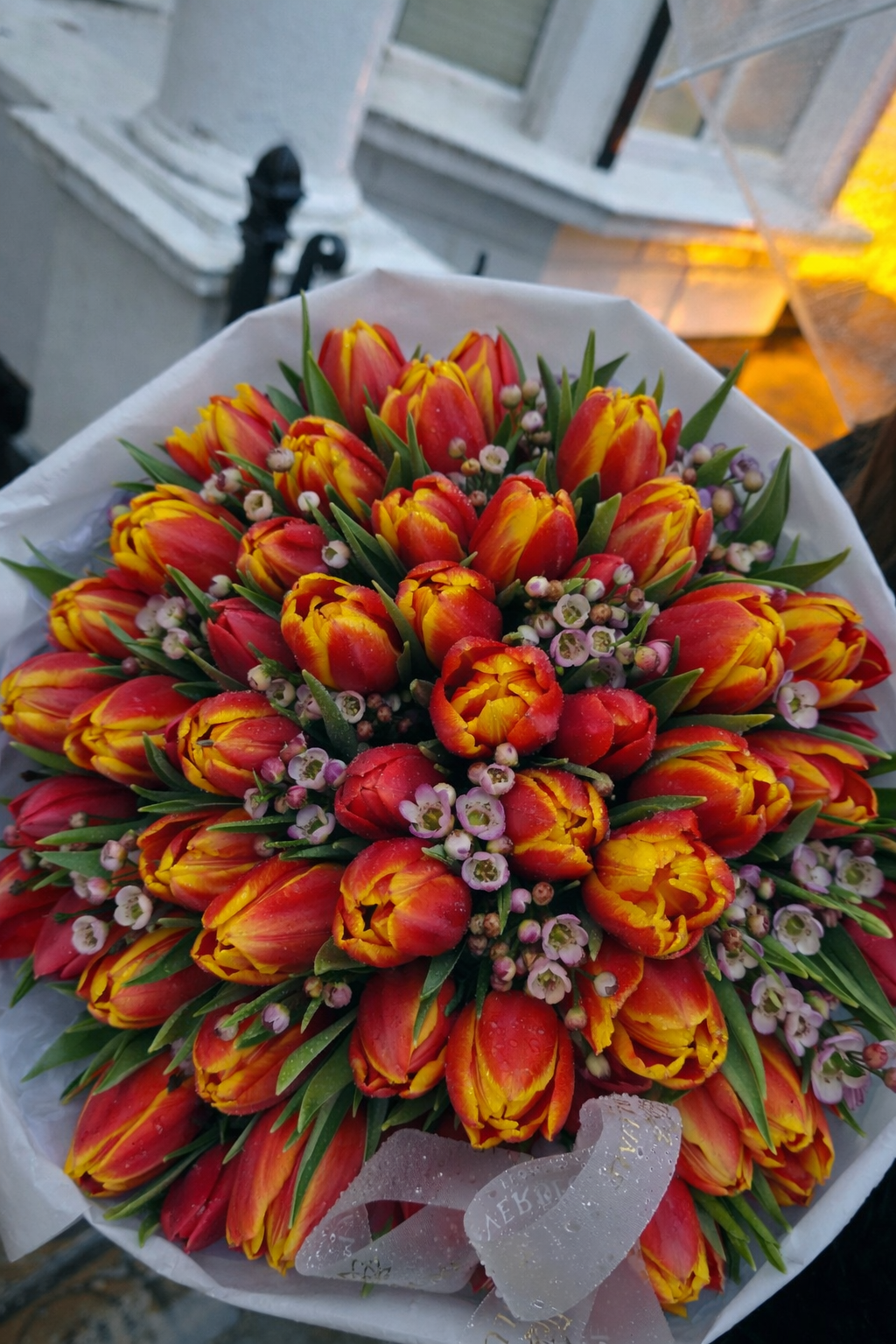 Sunset Tulips