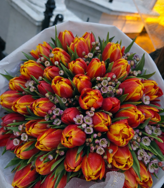 Sunset Tulips